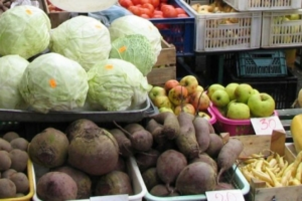 Fotoattēlam ilustratīva nozīme.
Autors: dzirkstele.lv