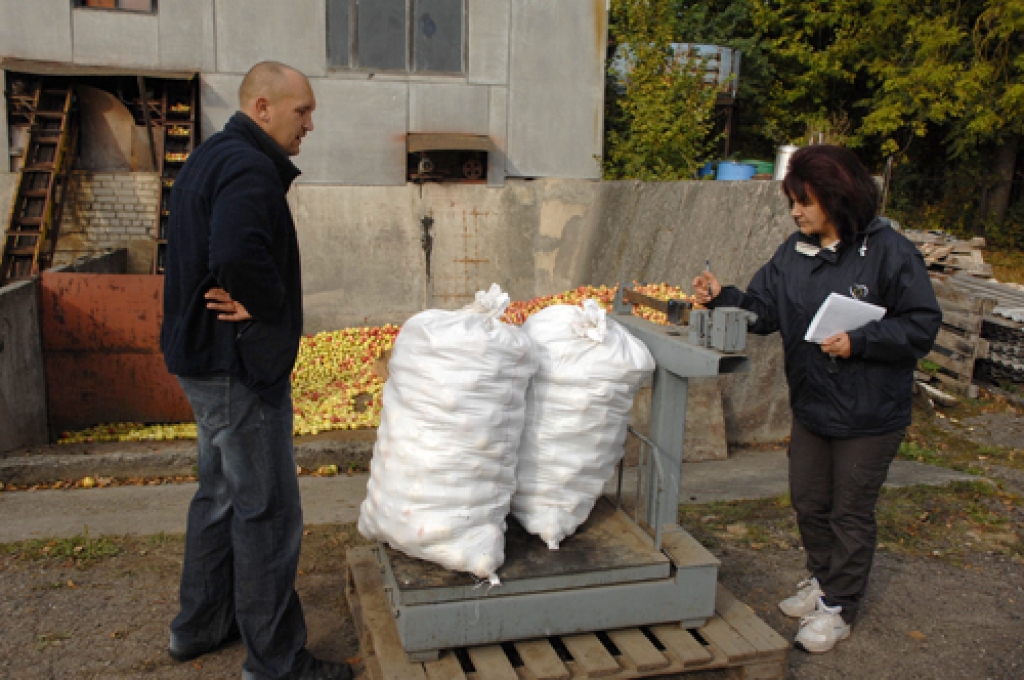 Ābolus nodot atvedis Guntis Ķikurs no Rundāles novada. Vedumu nosver noliktavas pārzine Vija Saveļjeva.
Autors: Ivars Bogdanovs
