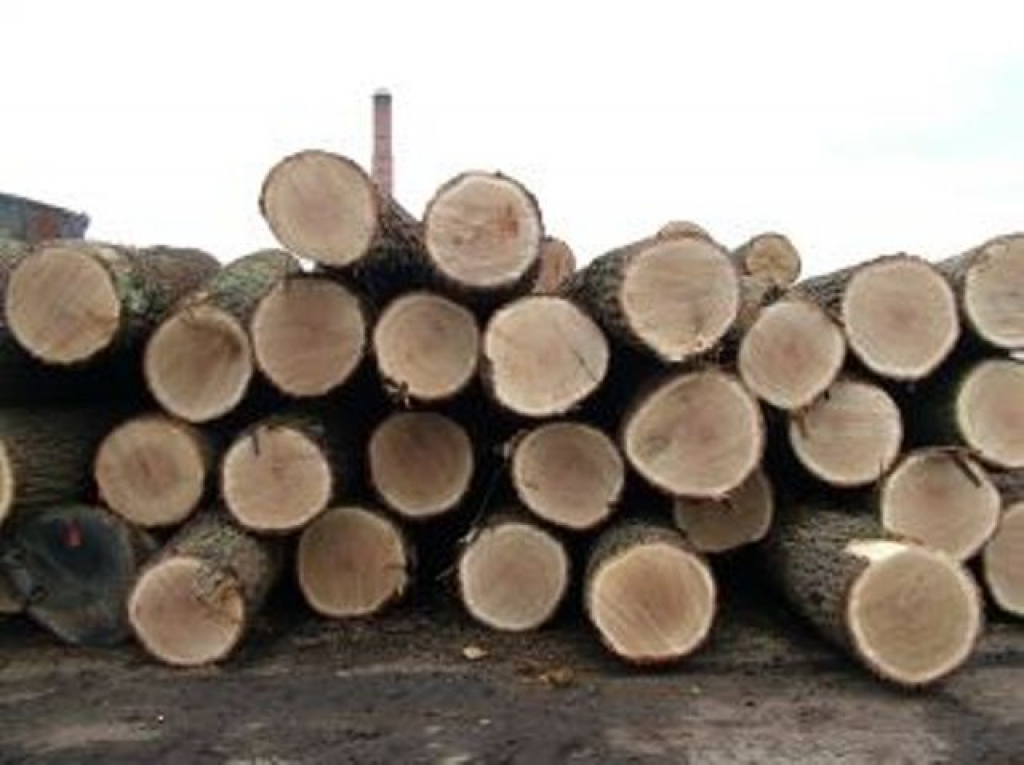 Attēlam ilustratīva nozīme.
Autors: no mezi.lv