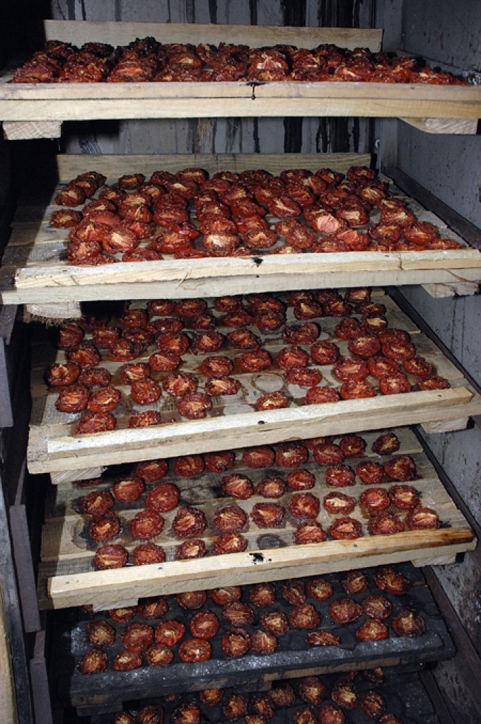 Paša konstruēto tomātu kaltēšanas iekārtu Andris Bite procesa laikā cītīgi pieskata, lai produkts nepārkalstu vai nesadegtu.