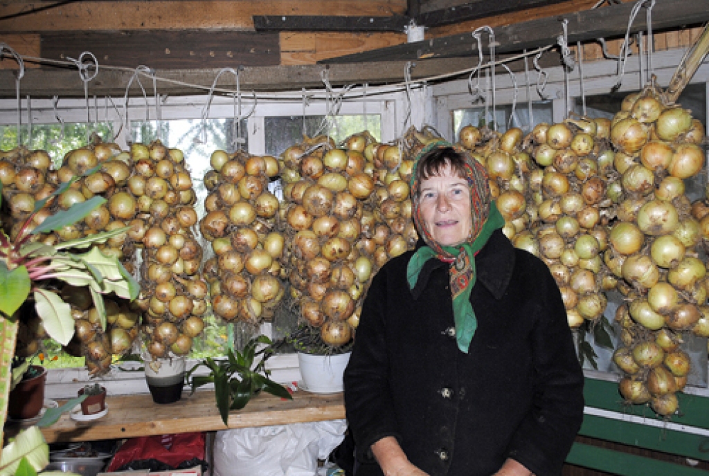 Nadeždai Nesterei šogad padevusies varena sīpolu raža. 