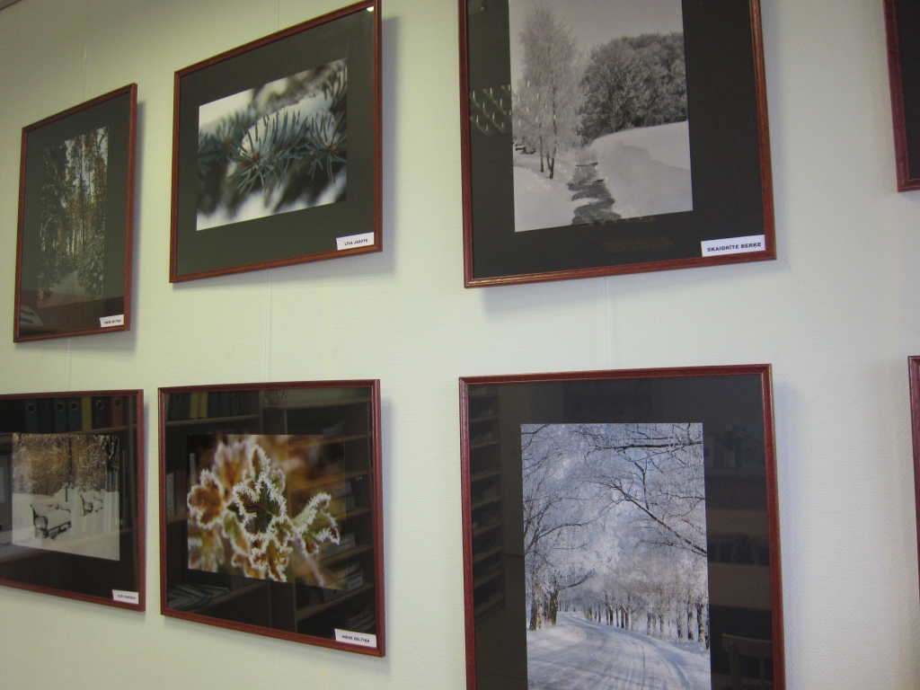 Izstādes darbos atklājas krāšņi aizkustinošs ziedu dzīvības un sala kontrasts.
Autors: no bibliotēkas arhīva.