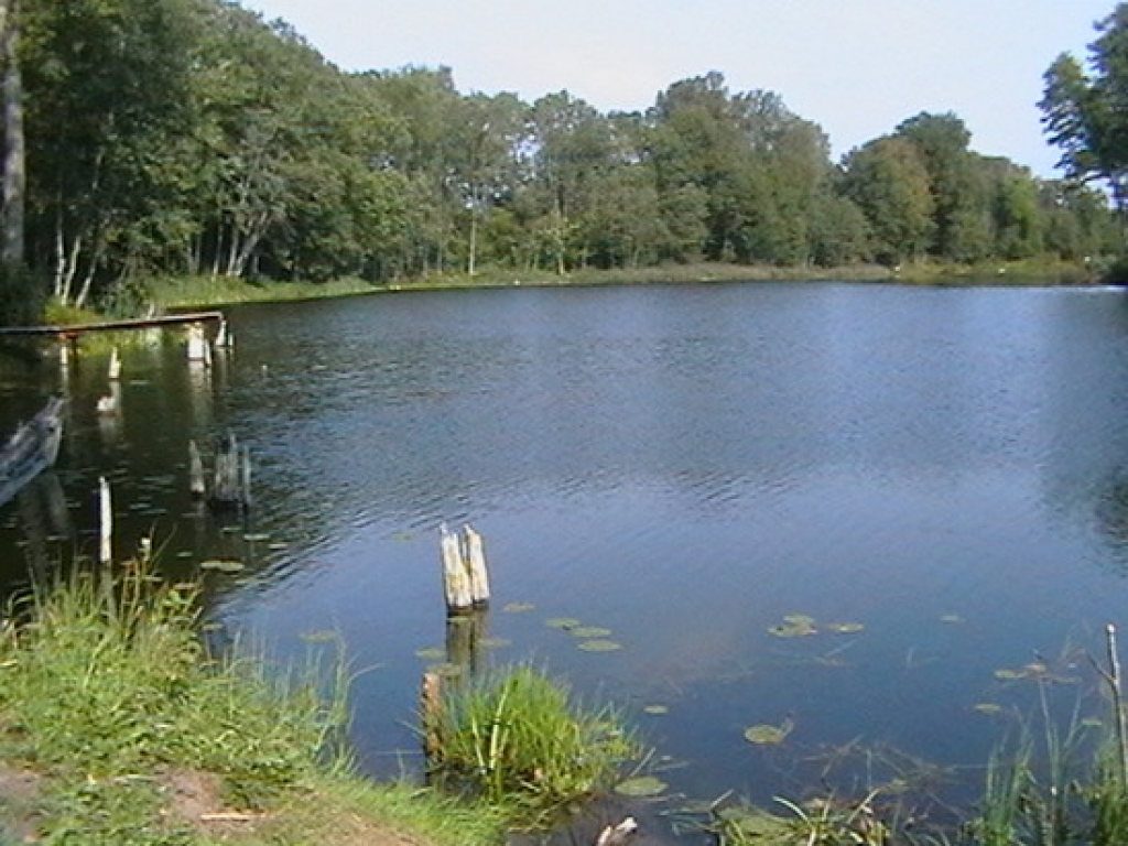 Bangu dīķis.
Autors: tourism.bauska.lv