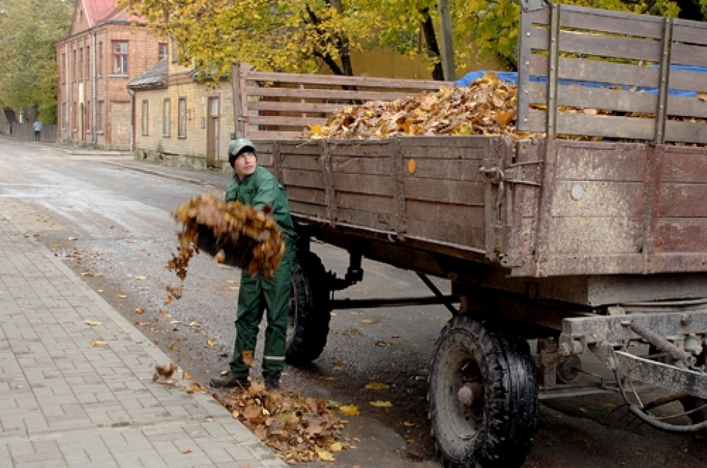 Fotoattēlam ilustratīva nozīme.
Autors: No «Bauskas Dzīves» arhīva.