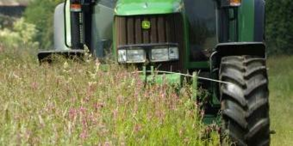 Fotoattēlam ilustratīva nozīme.