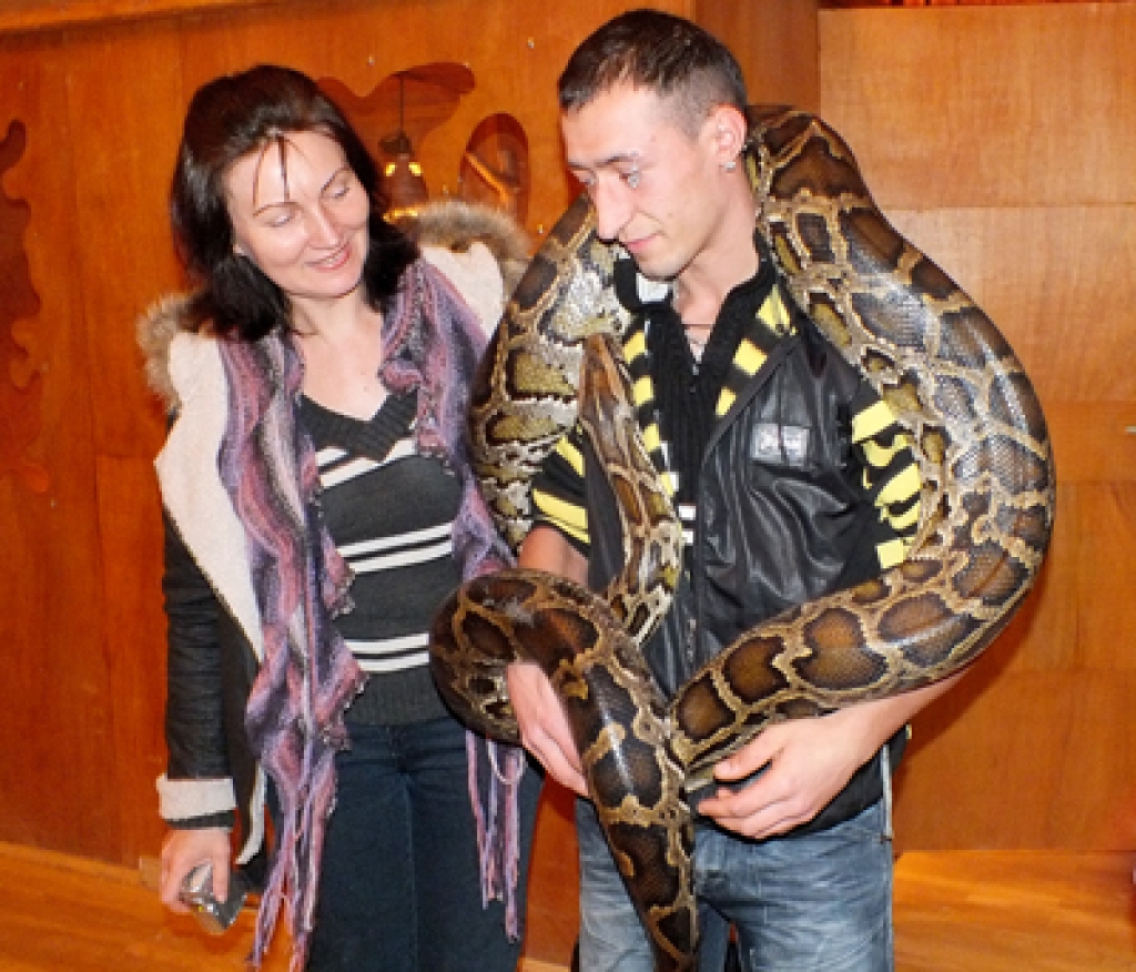Baušķeniece Inese Šiltere apbrīno tīģerpitonu.
Autors: Kristaps Ābelnieks
