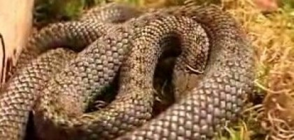 Fotoattēlam ilustratīva nozīme.
Autors: apollo.lv