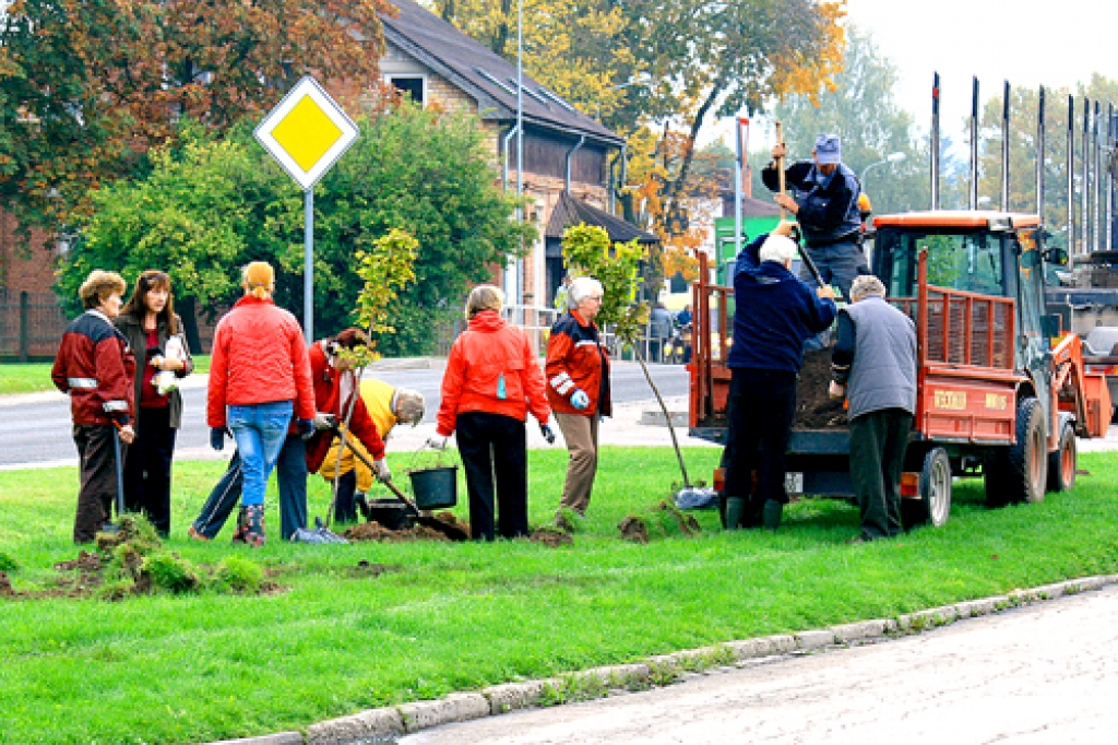 Vecumnieku biedrība «Virši» apzaļumo ciema centru. Darbi veikti pašu spēkiem, stādi iegādāti par bankas naudu, pašvaldības atvēlējusi tehniku stādu un melnzemes atvešanai.
Autors: Artūrs Enkurs