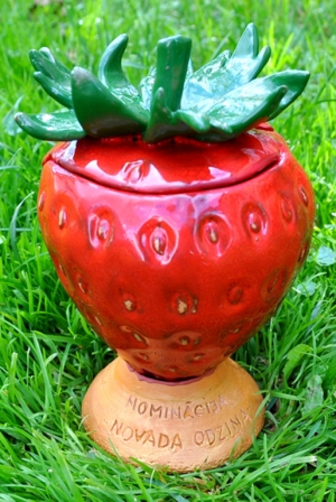 Īpašā balva – «Odziņa».