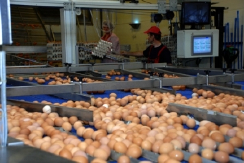 Autors: No «Bauskas Dzīves» arhīva.