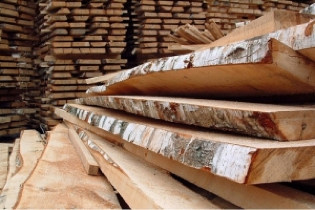 Fotoattēlam ilustratīva nozīme.
Autors: No «Bauskas Dzīves» arhīva.