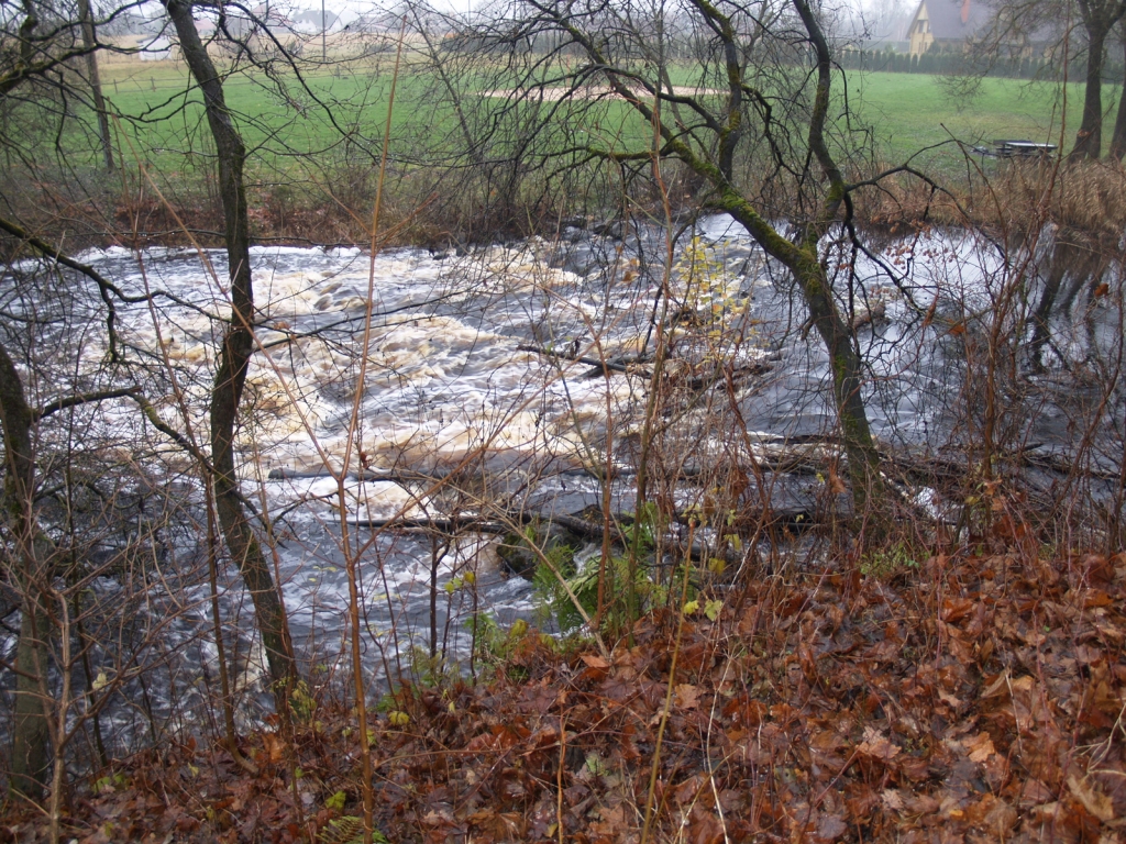 Pirmā putu rašanās vieta – krāce pie atpūtas vietas «Spirtnieki».
Autors: Antra Ērgle