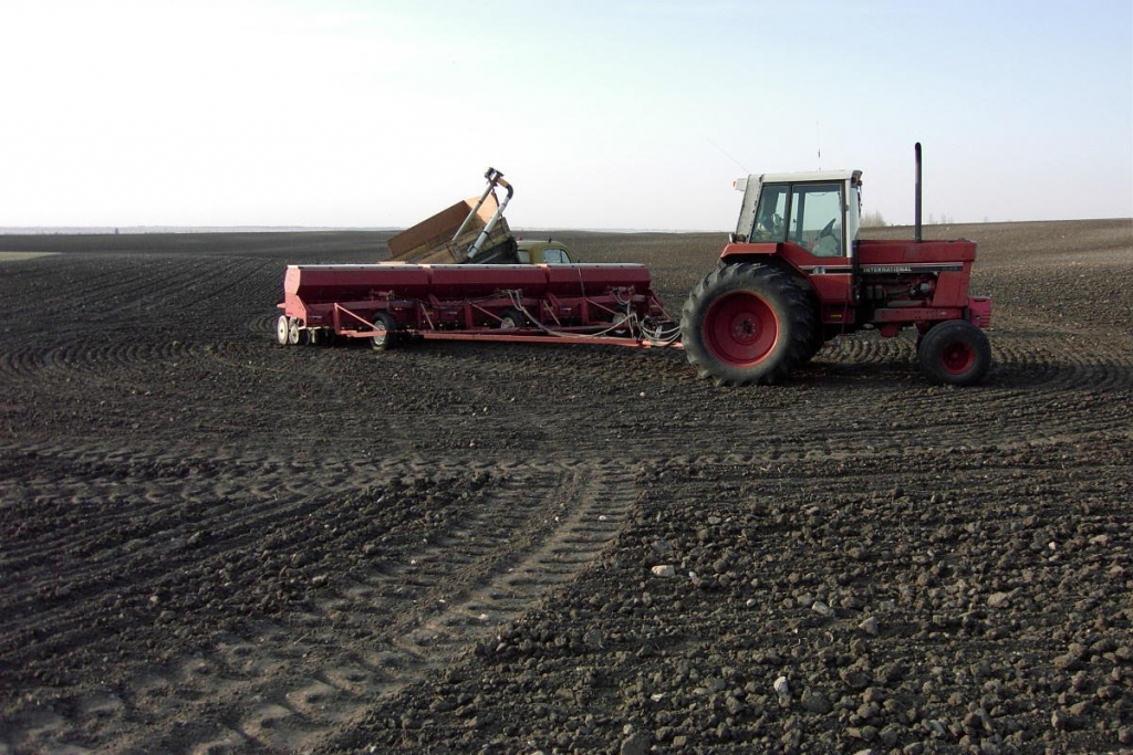 Lauksaimnieki saņem vienotā platību maksājuma avansu 50% apmērā jeb 29,63 latus par hektāru.
Autors: no «Bauskas Dzīves» arhīva.