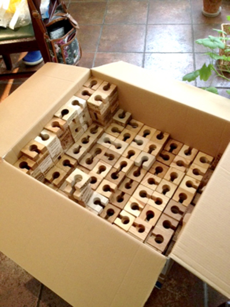 Kopumā tika saņemtas 1 739 plāksnītes ar skolēnu vēlējumiem Latvijai.
Autors: Bruno Cīrulis