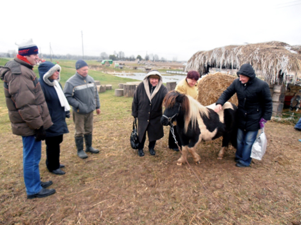 Neredzīgie ļaudis trušu pilsētiņā Codē.
Autors: Inga Muižniece