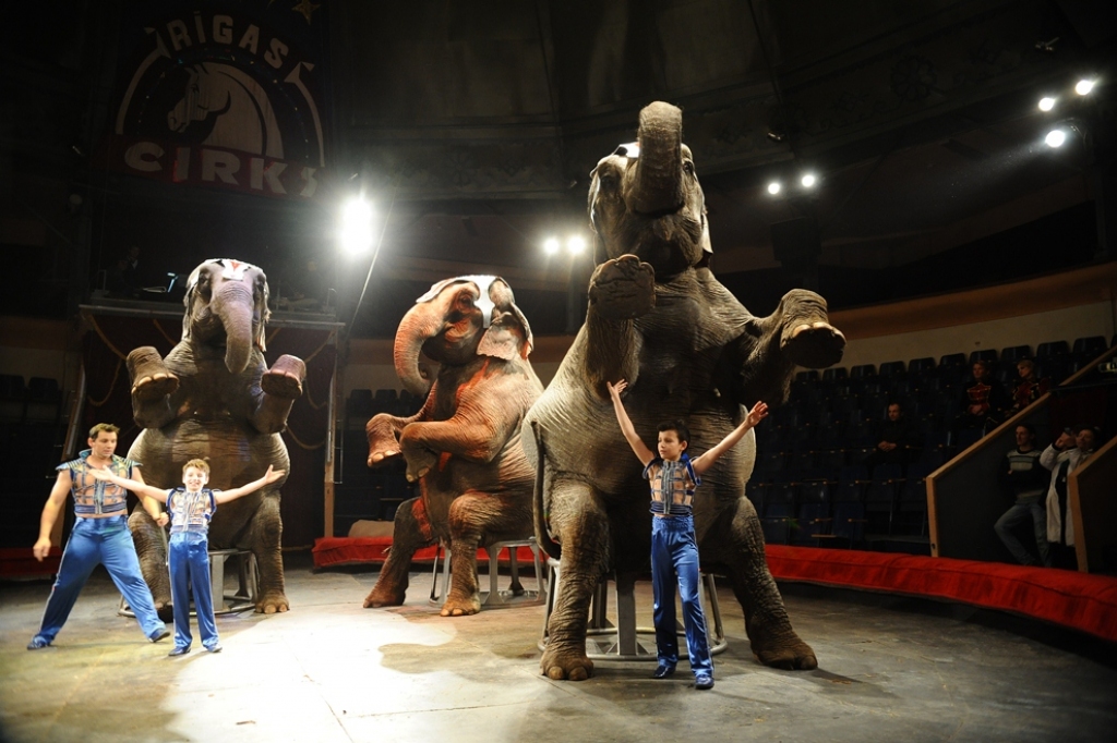 Fotoattēlam ilustratīva nozīme