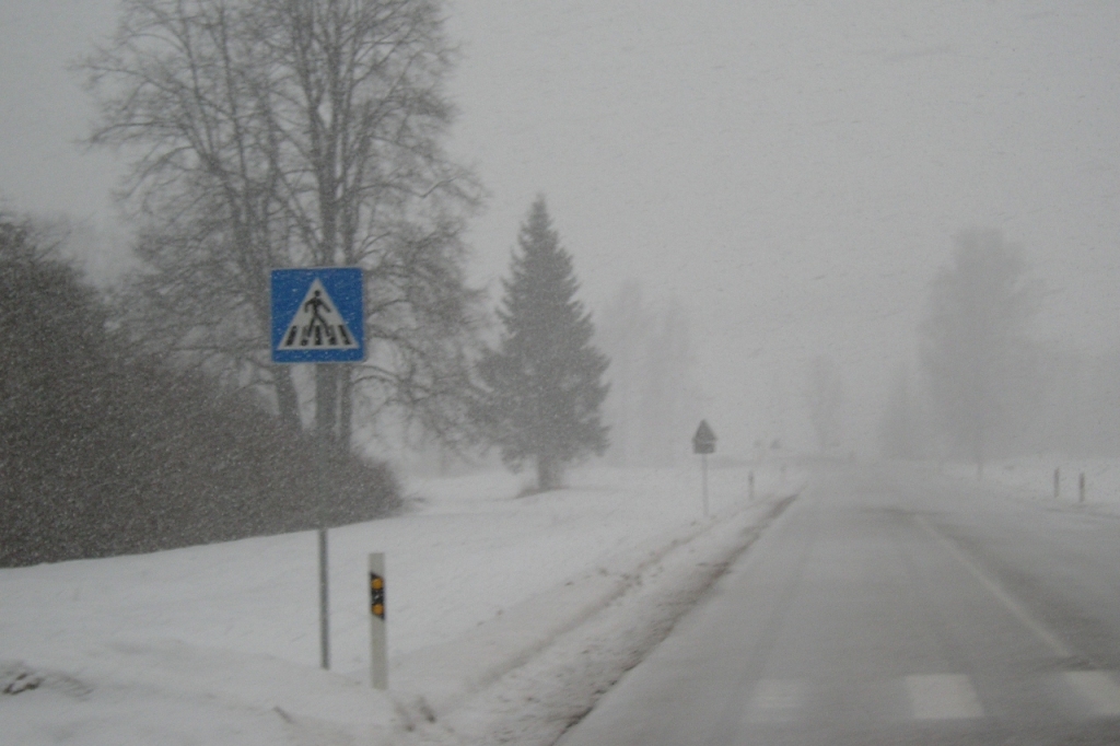 Fotoattēlam ilustratīva nozīme.
Autors: poga.lv