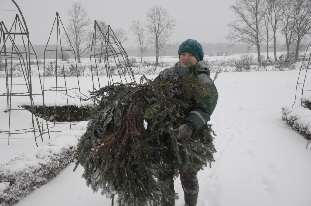 Autors: Ivars Bogdanovs