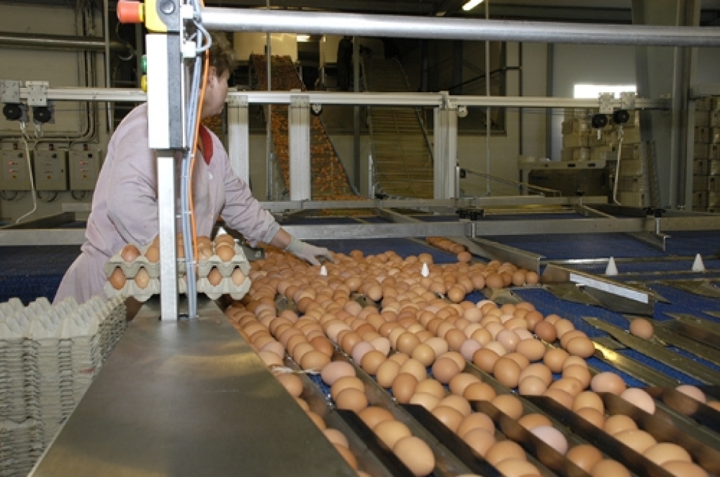 Fotoattēlam ilustratīva nozīme.
Autors: No «Bauskas Dzīves» arhīva