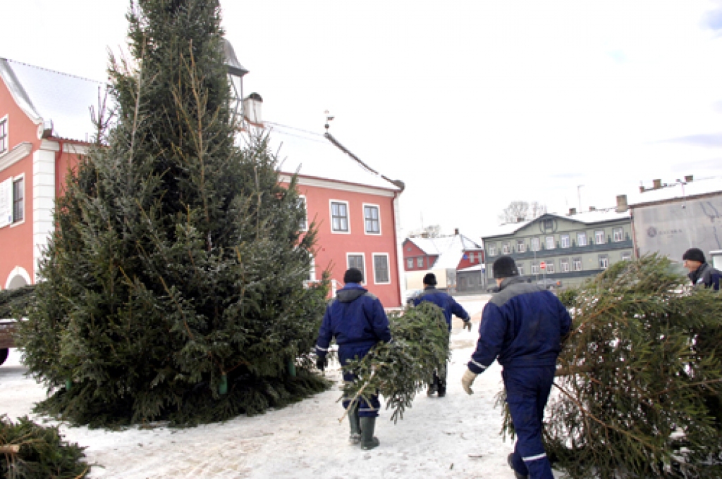 SIA «Vides serviss» darbinieki Bauskas Rātslaukumā uzstāda pilsētas greznāko egli. 
Autors: Ivars Bogdanovs