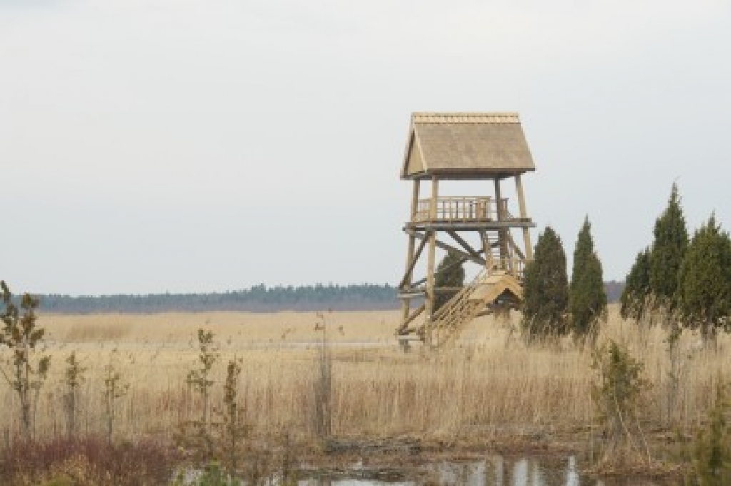 Fotoattēlam ilustratīva nozīme.