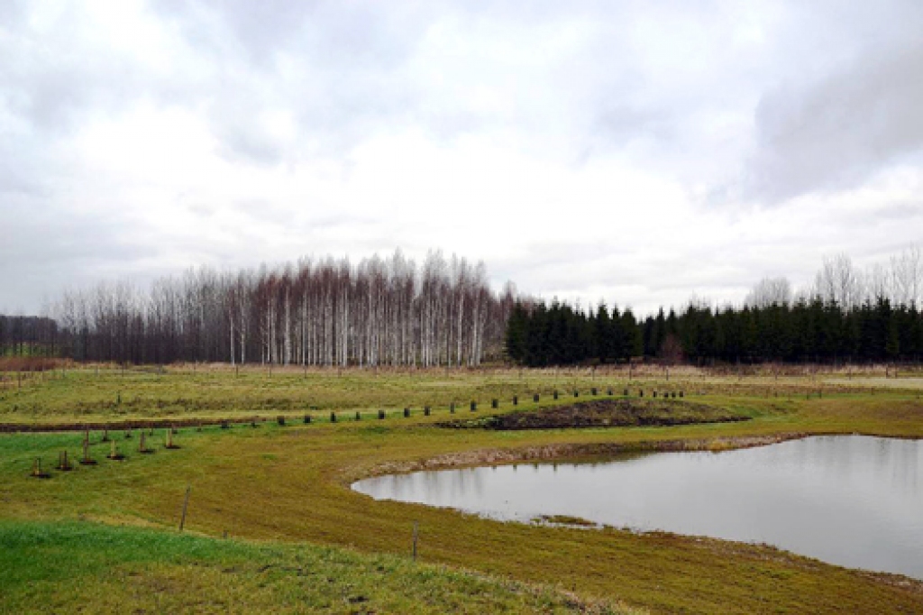 Andreja Lasmaņa plantāciju meži der par skaistu fonu kaimiņa Uģa Zāģera veidotajam dabas ainavu parkam.
Autors: mezi.lv