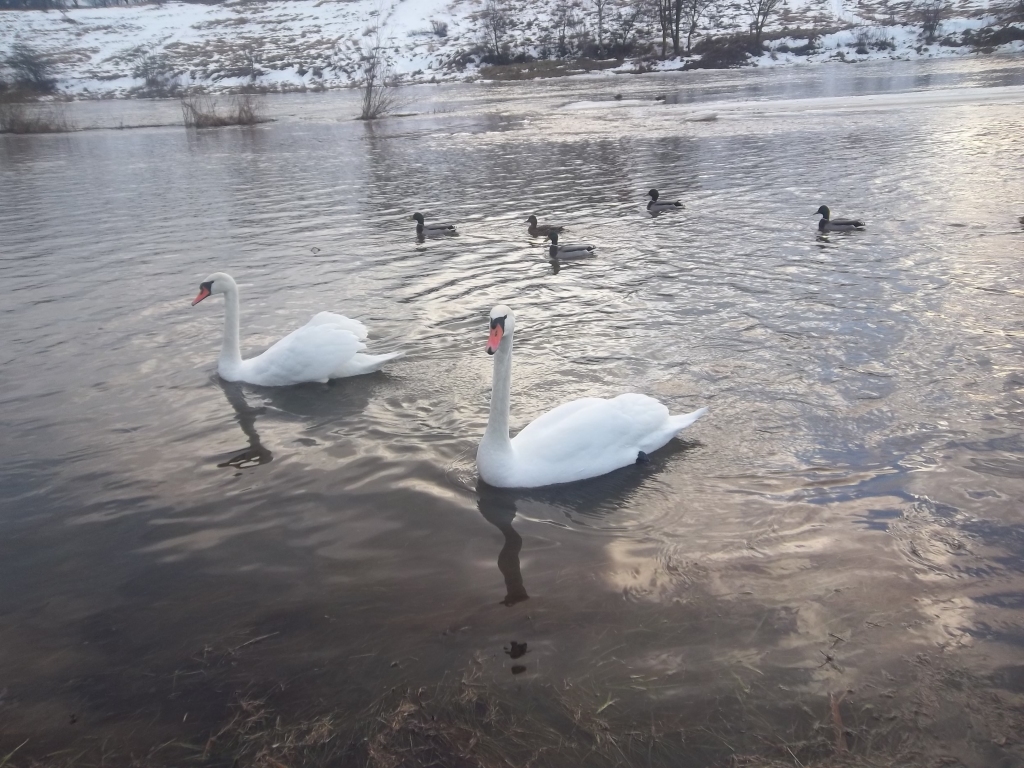 Autors: Sandra Danosa