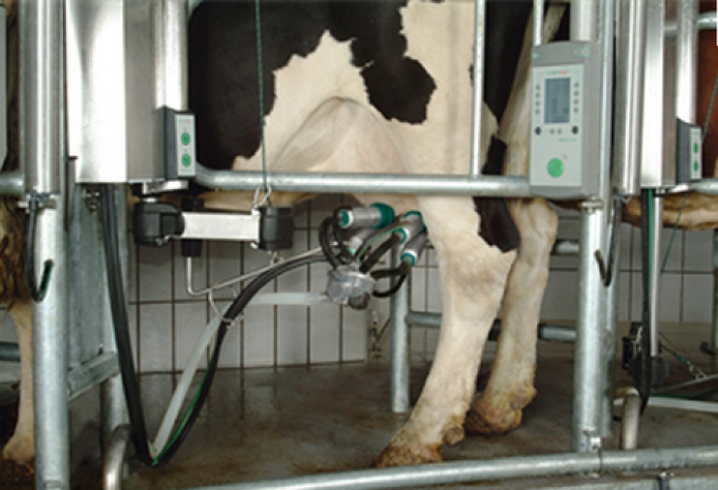 Tirgus pārmaiņas palēnina līniju bojājumu novēršanu. Lopkopji stāsta, ka govīm slaukšana avārijas gadījumā jāgaida pat stundu.