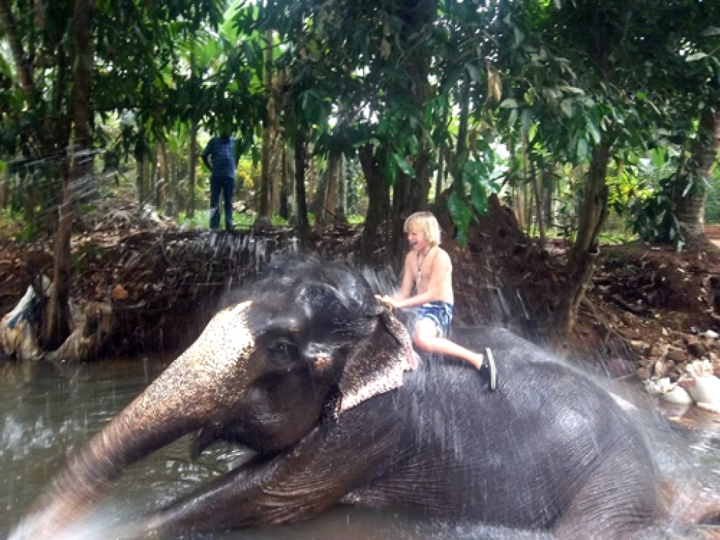 Goa iespējams izbaudīt vietējo džungļu kolorītu. Ekskursantiem tiek sarīkota izjāde ar ziloņiem, kā arī dota iespēja piedalīties ziloņu mazgāšanā un ļaut milzim nomazgāt arī sevi. 