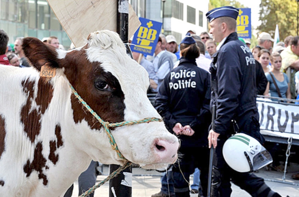 Briselē gada laikā bijušas vairākas lauksaimnieku protesta akcijas.