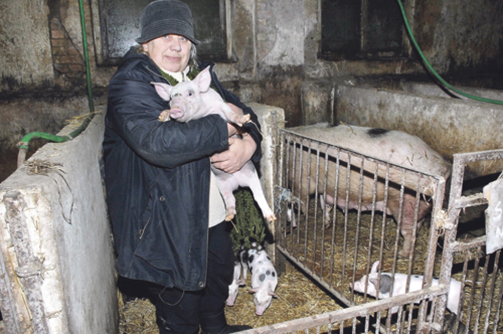 Gunta Čepuka savā saimniecībā «Kraujas».
