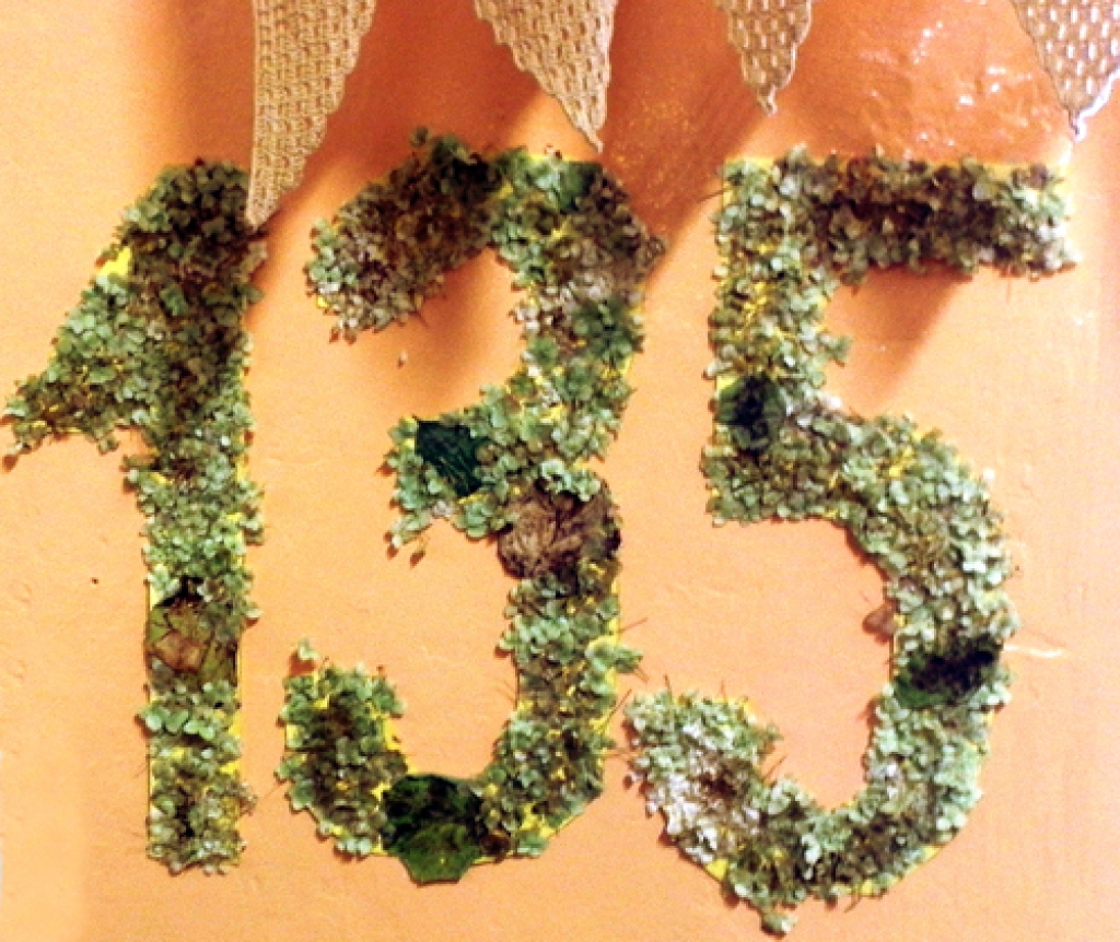 Dzimtmisas pamatskolas jubilejas logo darināts pašu rokām. 