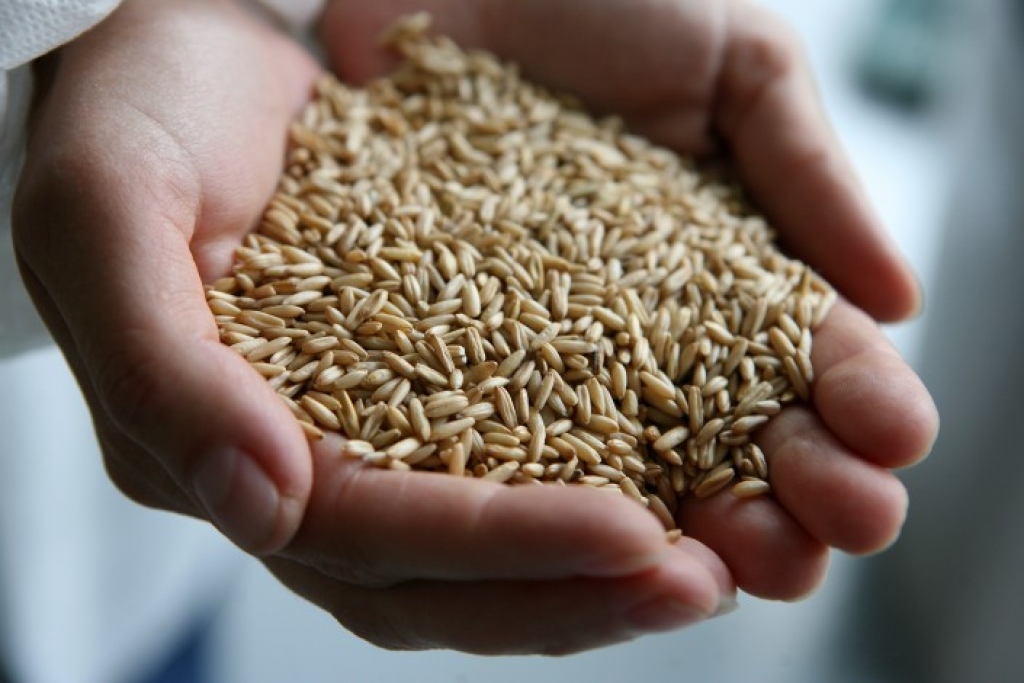 Fotoattēlam ilustratīva nozīme.
Autors: db.lv