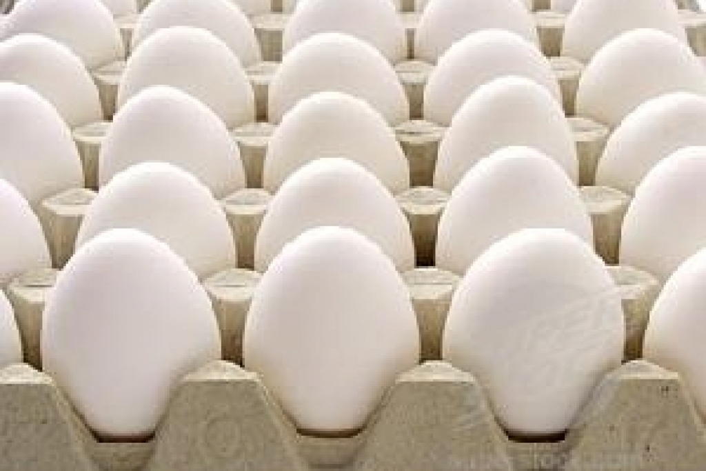 Fotoattēlam ilustratīva nozīme.