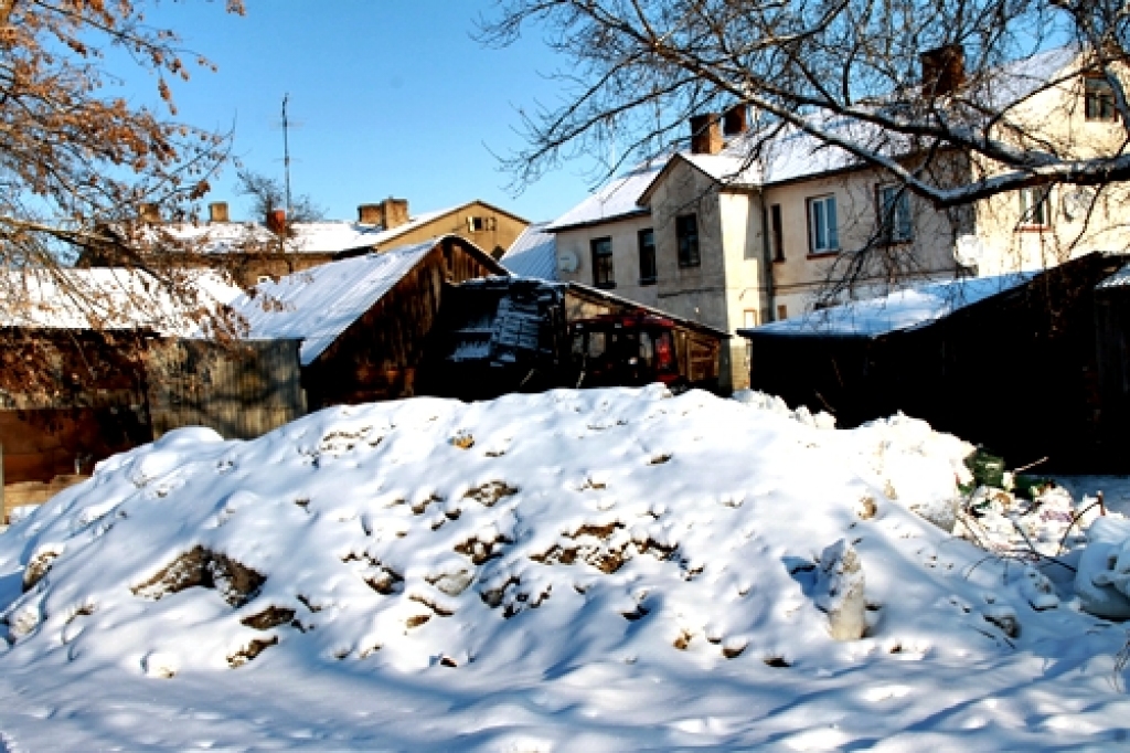 Atkritumu kaudze netālu no mājas Pasta ielā 6 šoziem izaugusi visai liela. 
Autors: Uldis Varnevičs