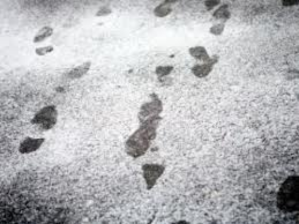 Fotoattēlam ilustratīva nozīme.