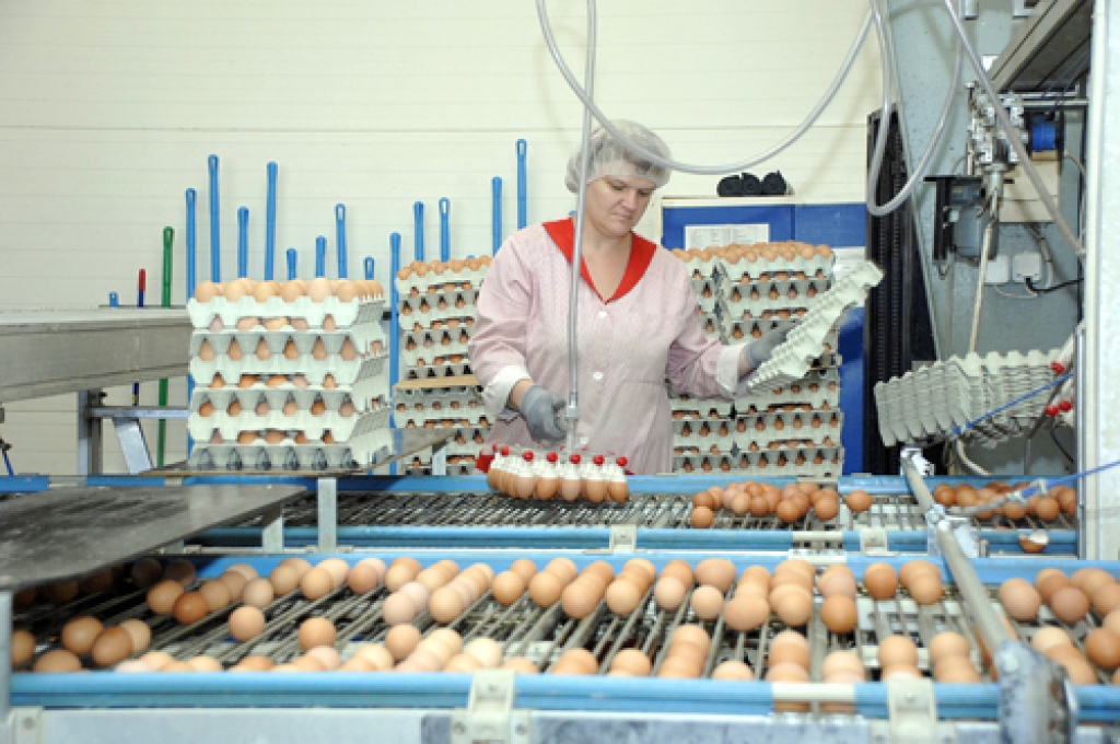 Līdz 2018. gadam «Balticovo» plāno vairāk nekā sešas reizes paplašināt olu un to produktu ražošanu, iespējams, kļūstot par lielāko nozares pārstāvi Eiropā.