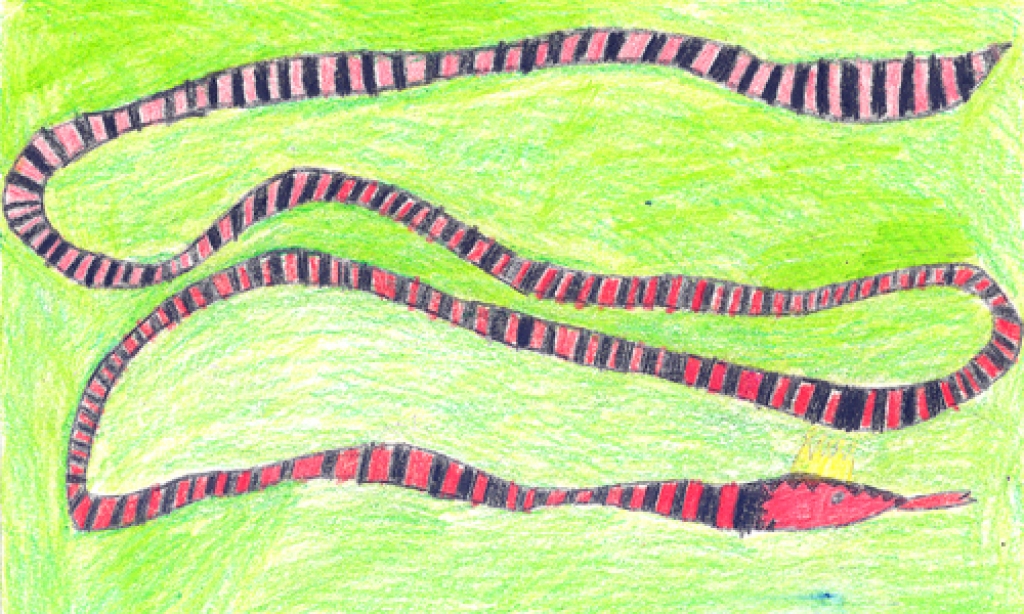 Martins Starodubcevs, Bauskas sākumskolas  1.c klase.