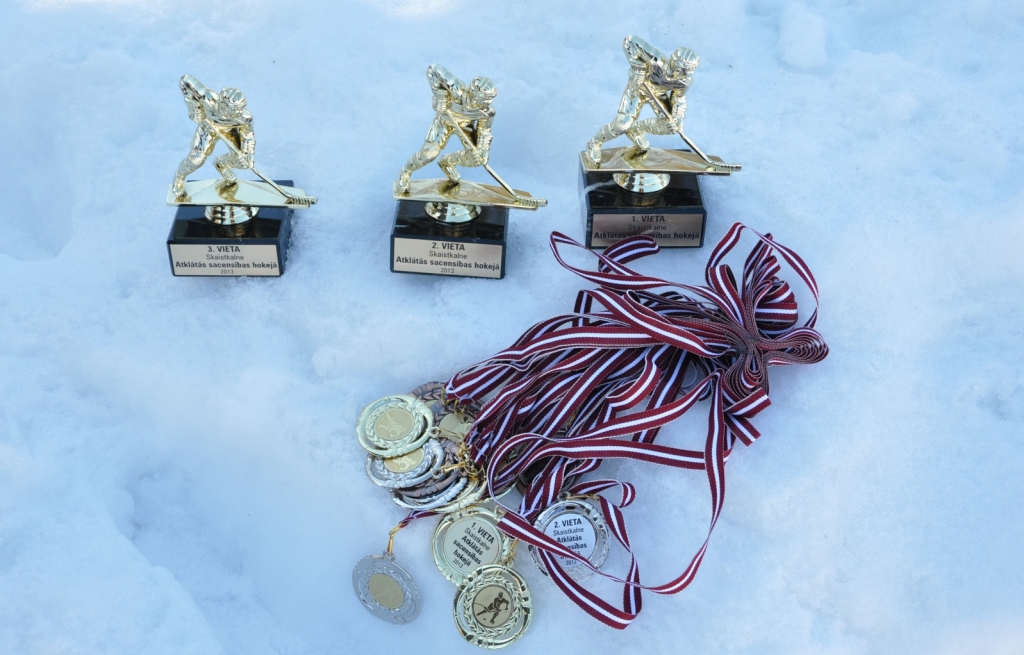 Vecumnieku novada Skaistkalnē uz ugunsdzēsēju dīķa pie tautas nama sestdien, 2. martā, norisinājās atklātais turnīrs hokejā. Sacensībās, ko rīkoja vietējie entuziasti un pašvaldības sporta darba organizators Ēvalds Čerpinskis, piedalījās...