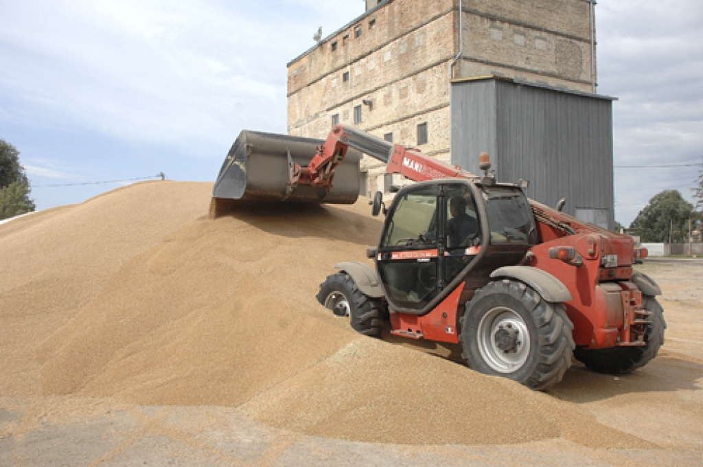 Bagātā labības raža, ko pagājušā gada augustā mūsu novadu zemnieki bēra kaudzēs, pārdota līdz decembrim, un tagad gaudus var nākties ievest no citām valstīm. 