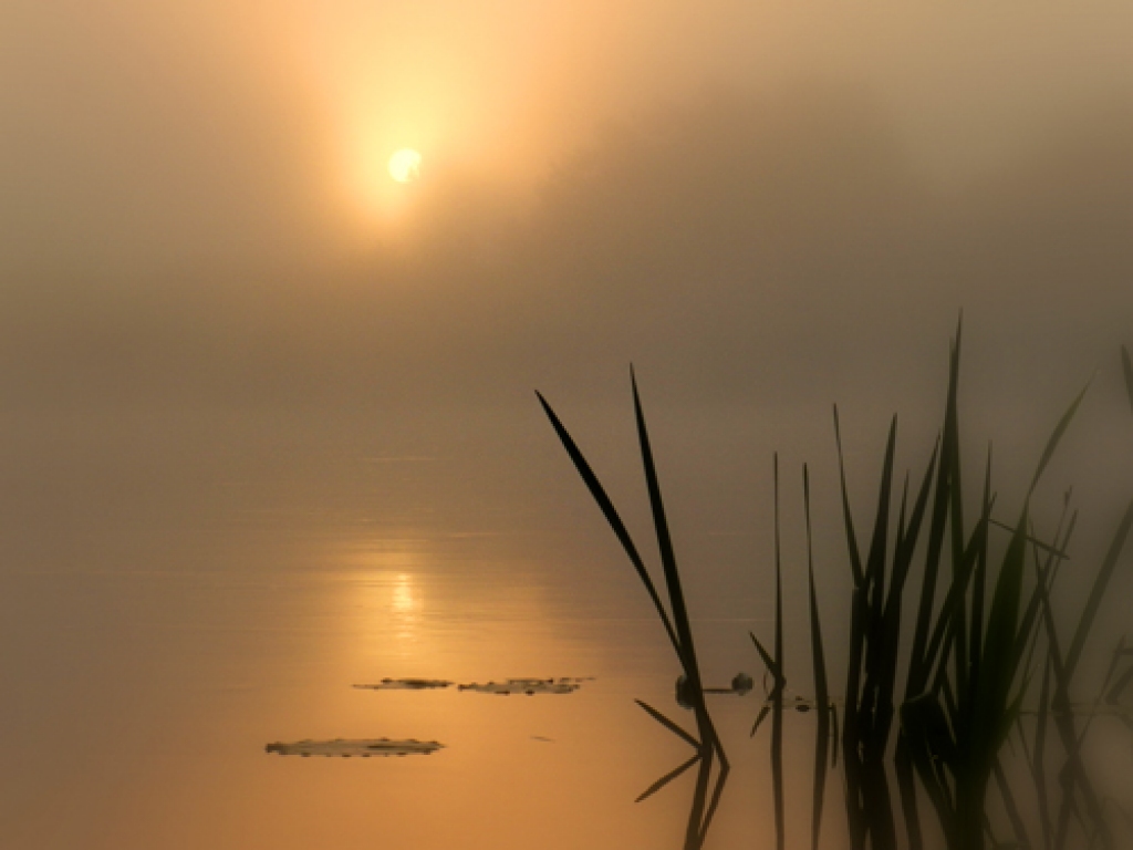 «Ūdensrozes» – šis Jāņa Paļuļa darbs fotokonkursā «Latviskā kultūrvide Bauskas novadā» ieguva vienu no divām pirmajām vietām (otra – Z. Indrikai). Balvā – brauciens uz Briseli.