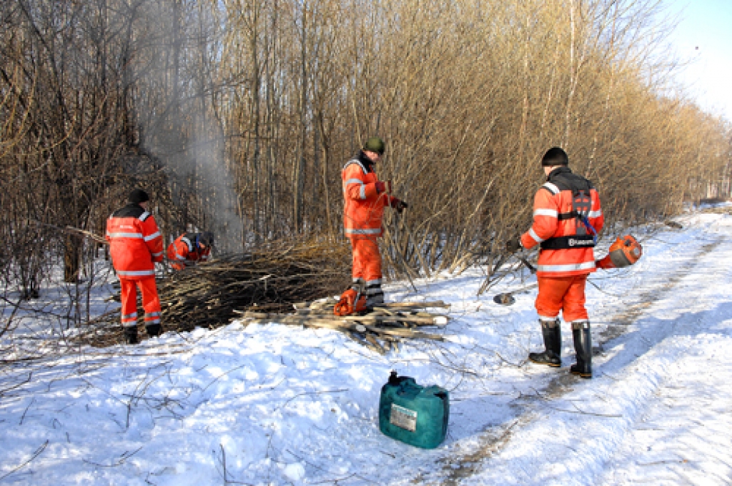 Valsts ceļš posmā no Vecsaules līdzJaunsaulei tiek gatavots pavasara atkusnim. Ceļa malās nozāģētie krūmi ļaus brauktuvēm ātrāk apžūt. 