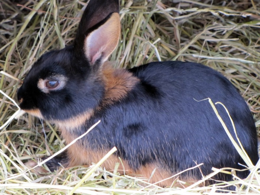 Fotoattēlam ilustratīva nozīme.