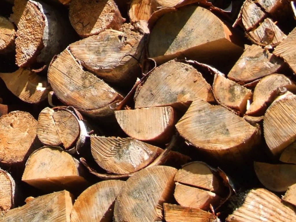 Fotoattēlam ilustratīva nozīme.