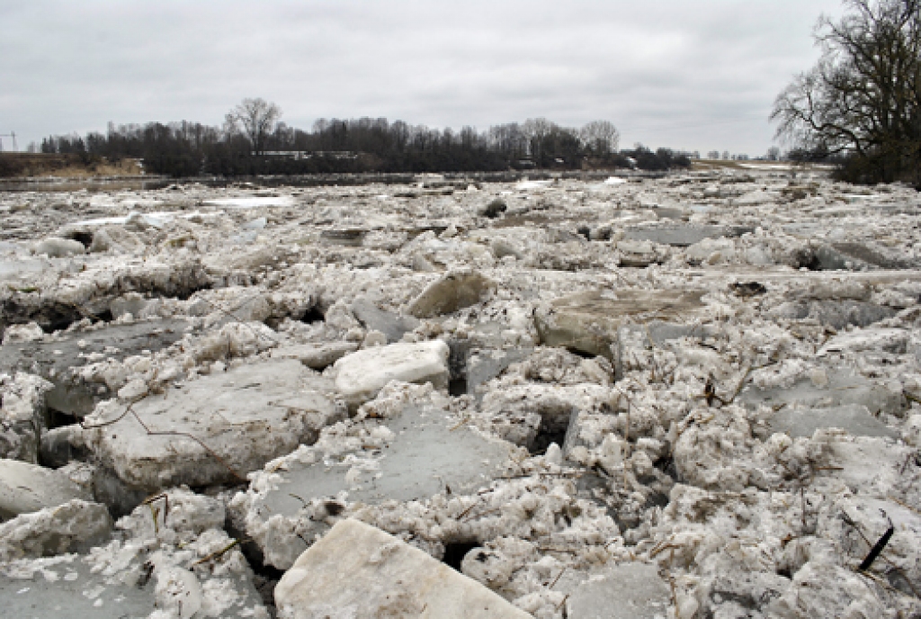 Mūspuses iedzīvotāji kopš sestdienas, 13. aprīļa, pēcpusdienas ar aizrautību un bažām seko līdzi ledus iešanai Lielupē.
Daži foto no Lielupes krastiem Rundāles novadā un Bauskas novada Mežotnē: Rundāles novada Punslavās ledus gabali upes...