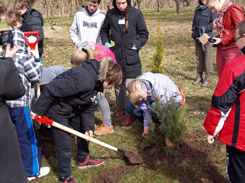 Bauskas Valsts ģimnāzijas un sākumskolas apvienotā komanda ar pedagoģi Solvitu Lauzēju stāda līdzatvesto kociņu topošajā Dzimtmisas skolas Draudzības parkā. 