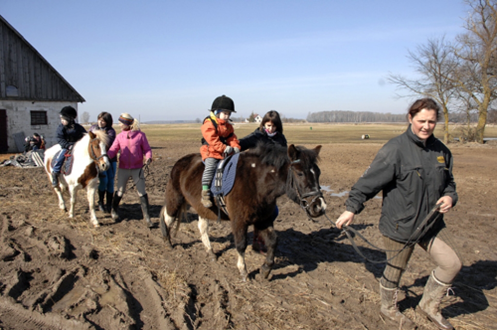 Pamūšas speciālās internātpamatskolas bērni nodarbībās ar zirgiem Codes biedrības «Mēmeles jāšanas sporta klubs» treniņu laukā.