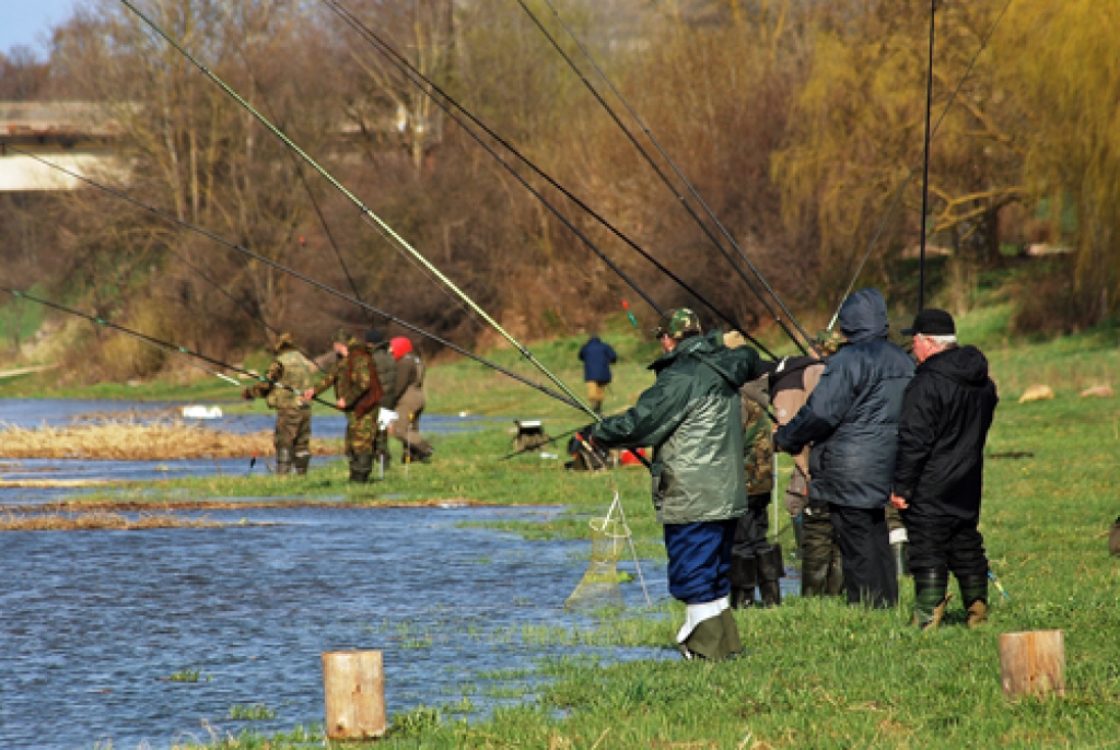 Visi licencētie makšķernieki kopā dienas laikā izvelk mazāk vimbu, nekā zvejnieki  ar vienu murdu izceļ no Buļļupes.