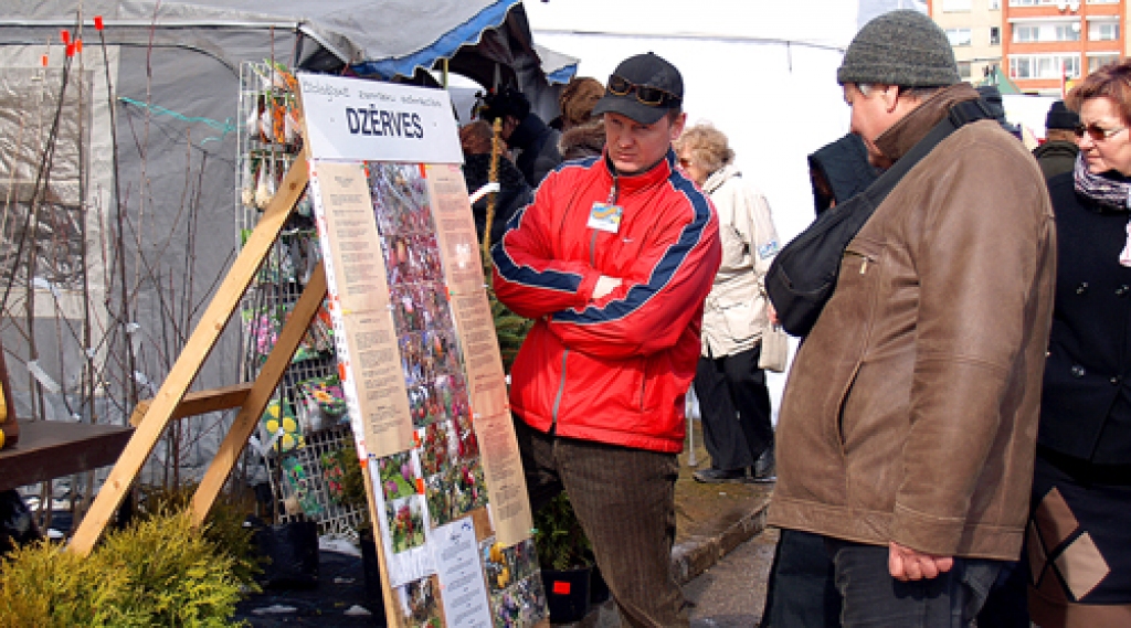 Dārzniekam Mārim Kaminskim bija jāsniedz padomi augļu koku stādu pircējiem. 