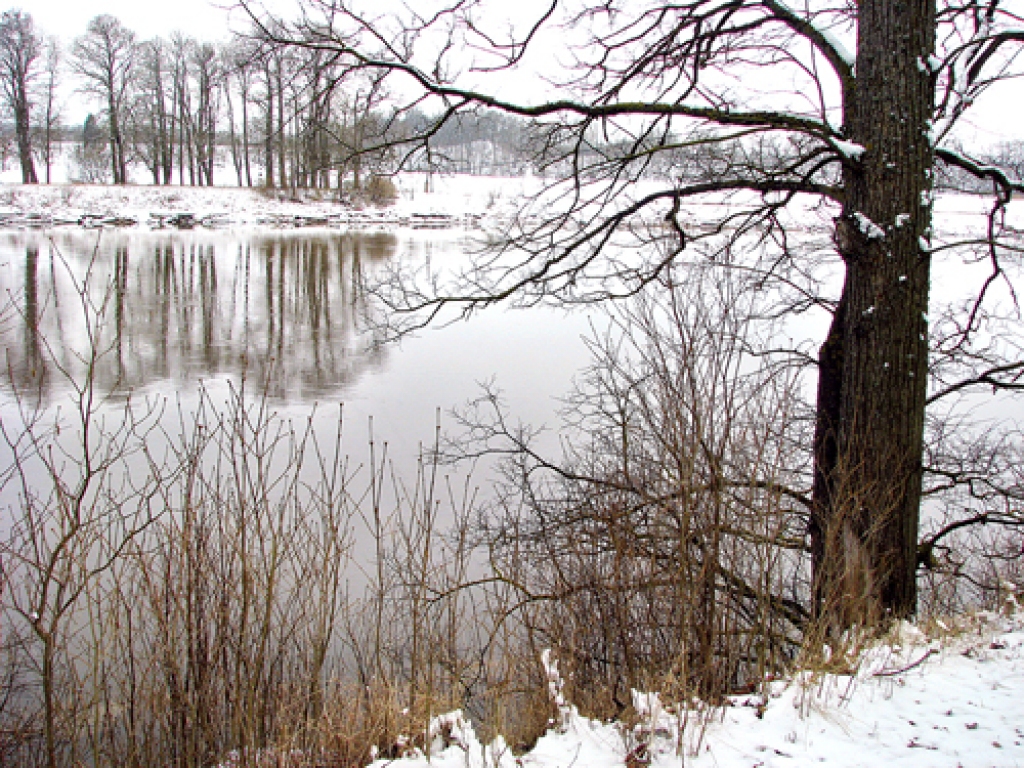 Lielupē plūdi varētu apdraudēt mežotniekus.